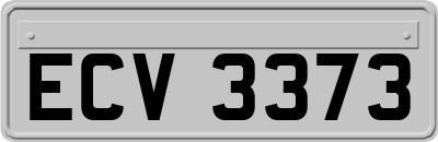 ECV3373