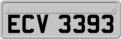 ECV3393