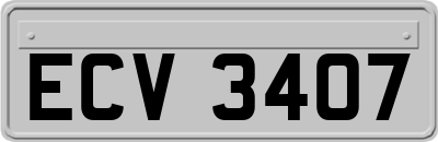 ECV3407