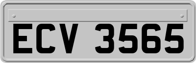 ECV3565