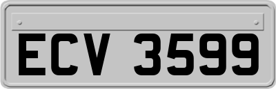 ECV3599