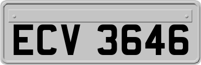 ECV3646