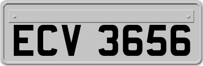 ECV3656