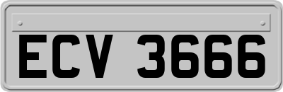 ECV3666