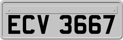 ECV3667