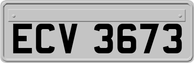 ECV3673
