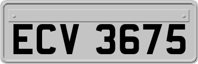 ECV3675