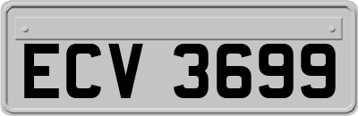 ECV3699