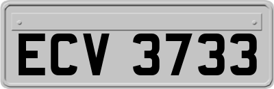ECV3733