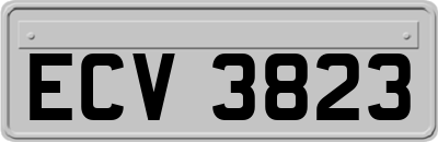 ECV3823