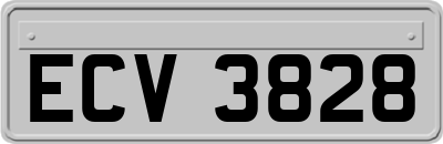 ECV3828