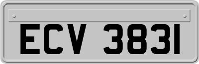 ECV3831