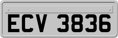 ECV3836