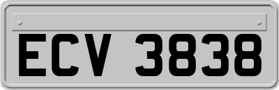 ECV3838