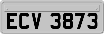 ECV3873
