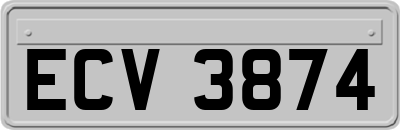 ECV3874