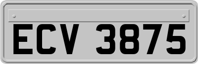 ECV3875