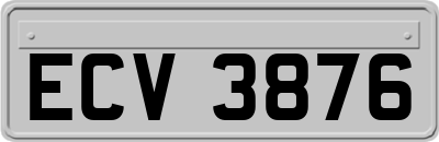 ECV3876
