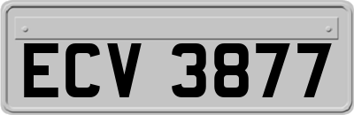 ECV3877