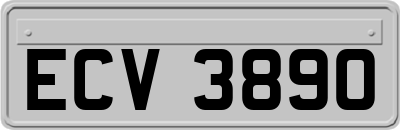 ECV3890