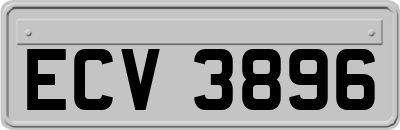 ECV3896