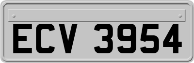 ECV3954