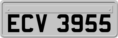 ECV3955