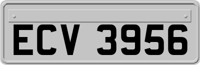 ECV3956
