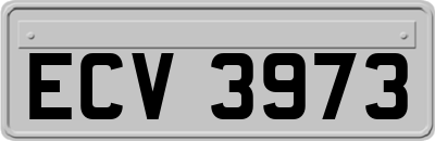 ECV3973