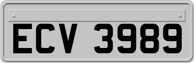 ECV3989
