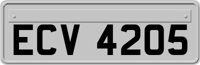 ECV4205