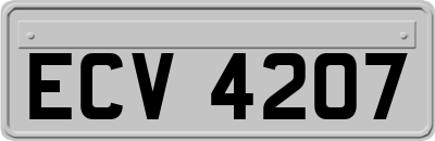 ECV4207