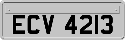 ECV4213