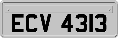 ECV4313