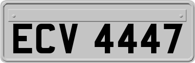 ECV4447