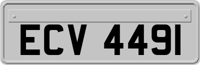 ECV4491