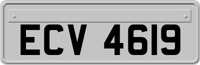 ECV4619