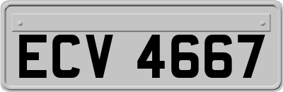 ECV4667