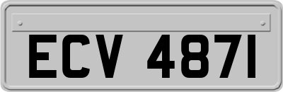 ECV4871