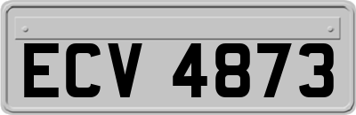 ECV4873