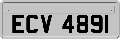 ECV4891