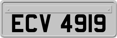 ECV4919