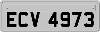 ECV4973