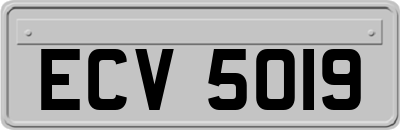 ECV5019
