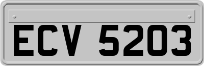 ECV5203