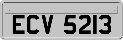 ECV5213