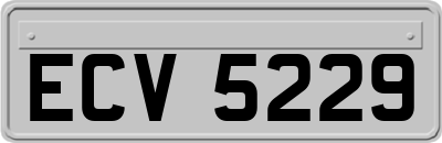 ECV5229