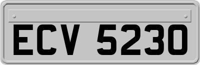 ECV5230