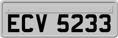 ECV5233