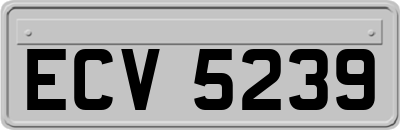 ECV5239
